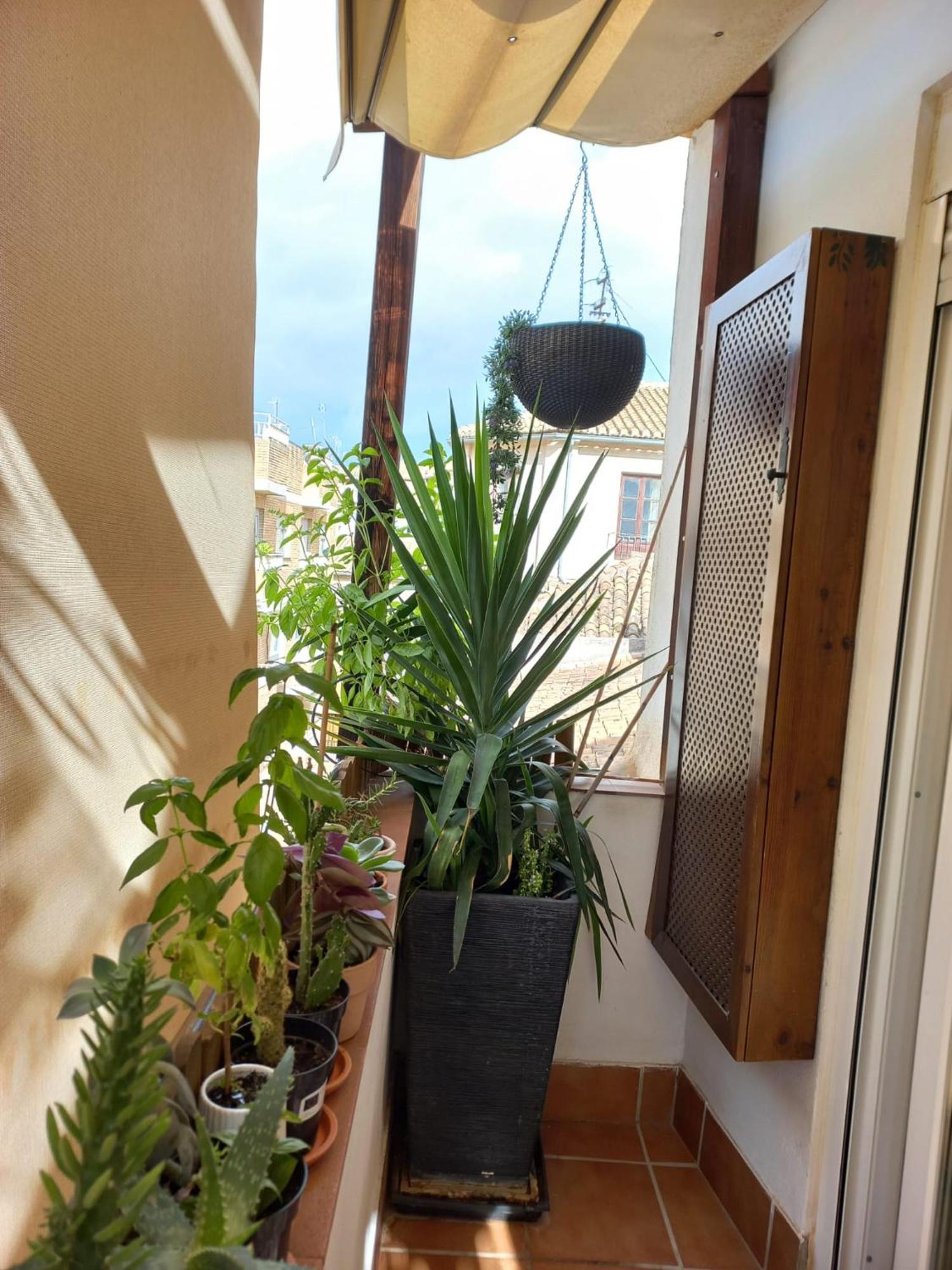 Atico Exclusivo En El Centro De Granada Apartment Bagian luar foto